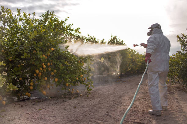 Best Pest Control Near Me  in Flordell Hills, MO