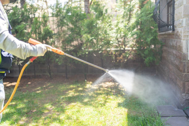 Professional Pest Control in Flordell Hills, MO