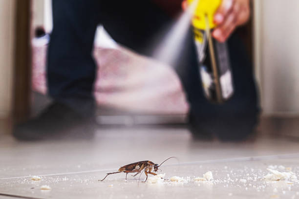 Best Pest Inspection Near Me  in Flordell Hills, MO